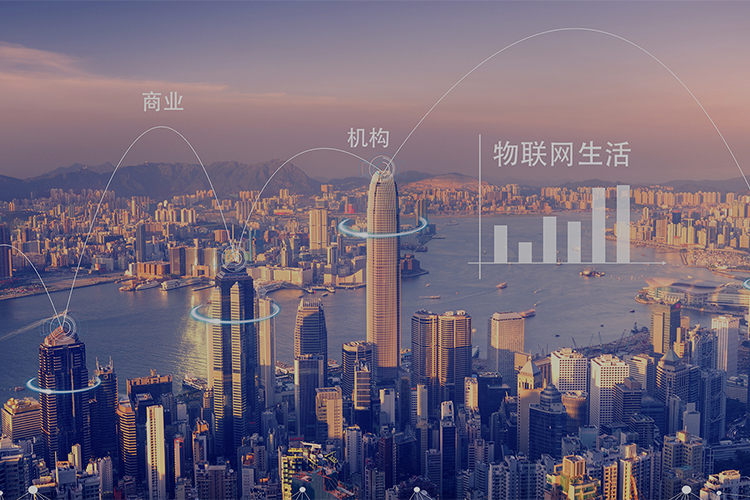 數(shù)字身份與智慧物聯(lián)平臺